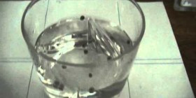 How to Germinate Cannabis Seeds - The Water Method