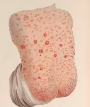 Funny Quotes Contact Dmca...