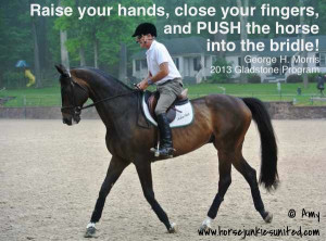 Push the horse into the bridle - George Morris