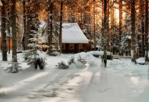 Cabin in Snowy Woods