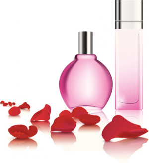 single rose petal drawing Perfume and rose petal
