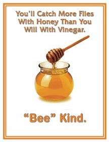... ll catch more flies with honey than you will with vinegar. 