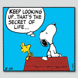 charles schultz quotes | keep looking up