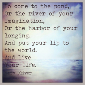 , Mary Olive Quotes, Living Life, Poetry Quotes, Live Life, Mary ...