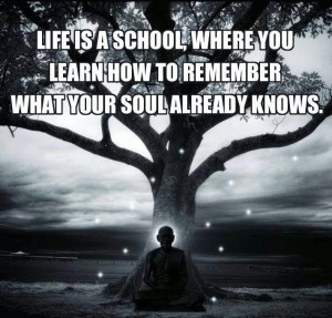 Pinned by Yogi Kristen