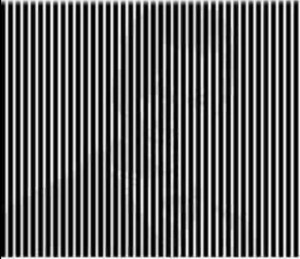 optical illusion vertical bars if you shake your head you ll see a