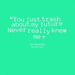 Quotes Picture: you just trash about my future never really knew me