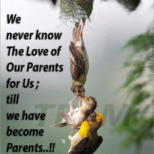Love of parents, Good morning quotes, wishes, Inspirational Pictures ...
