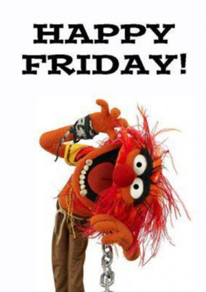 Animal From Dr. Teeth and The Electric Mayhem Says: Happy Friday!