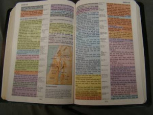 365 Bibles