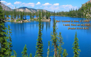 Psalm 31:14 My trust is in the Lord He is my God