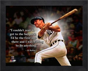 detroit-tigers-al-kaline-pro-quote.jpg