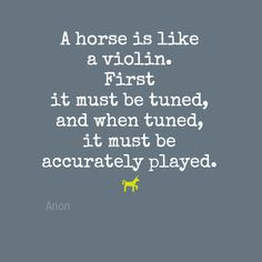 Meaningful horse quotes~