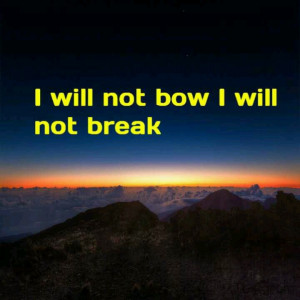 Breaking Benjamin- I Will Not Bow