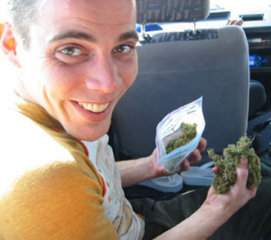 Steve-O weed quotes