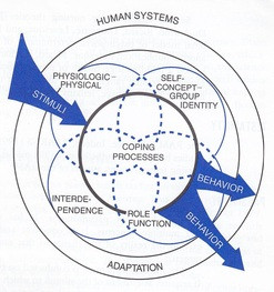 Diagrammatic Representation of Human Adaptive Systems