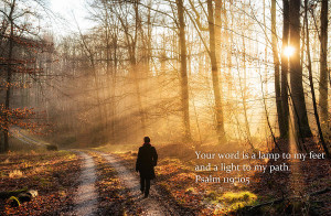 Your Word Is A Light To My Path Bible Verse Quote by Matthias Hauser