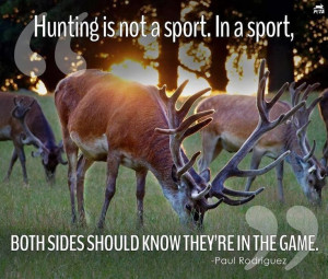 Anti hunting