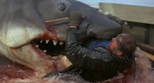 in honor of the 35 anniversary of jaws various pics from the movie ...