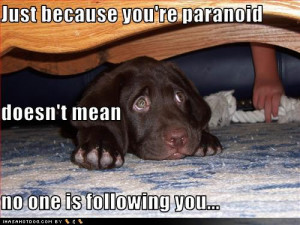 Funny Image Collection