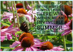 summer quotes, winter quotes, In the midst of winter, I found there ...