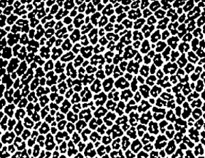 makeup pink cheetah print background Gray Leopard Print