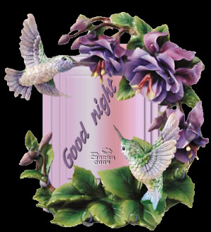 Good night lovely flowers graphic