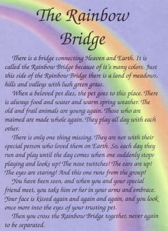 Rainbow Bridge Dog Heaven | Rainbow-Bridge-Poem-100618792769.png# ...