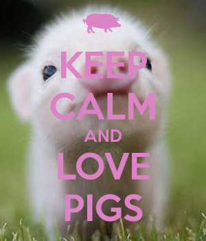 KEEP CALM AND LOVE PIGS