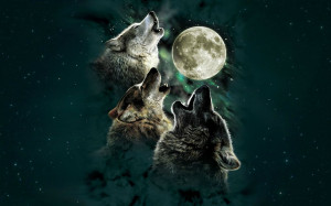 Wolves Howling At Moon HD Wallpaper