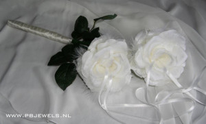 Boomerang Kaart Alternatief