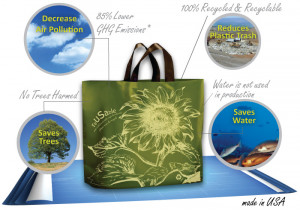 European week for display!the four principles of lean use. Way we ...