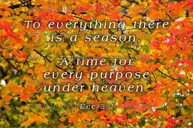 Autumn Quotes Graphics