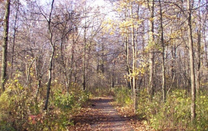 Photo by Rosemary Heenan. Her website is Heart Power Coaching