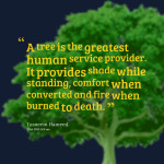 mother earth quote earth day quote earth day sayings quotes