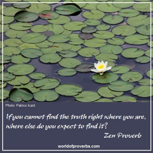 World of Proverbs - Famous Quotes: If you cannot find the truth right ...