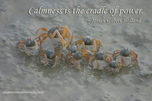 miq 91 calmness is the cradle of power josiah gilbert holland quote
