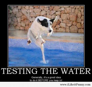 Testing the water - Funny Picture
