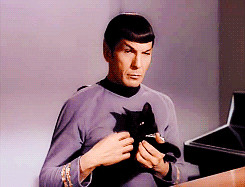 Leonard Nimoy, Star Trek's Mr Spock, dies at 83