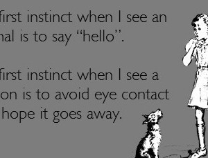first-instinct-when-I-see-an-animal-is-to-say-hello-My-first-instinct ...