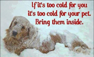 Freezing Cold Weather Quotes Winter care for your dog