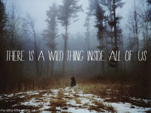 Quote adapted from: Where the Wild Things Are movie sloganPhoto found ...