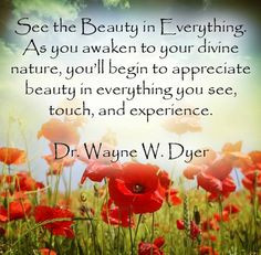 See the beauty in everything! More