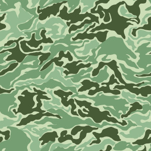 Camouflage Texture