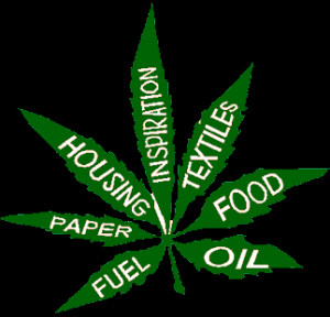 By Patrick Gallagher;