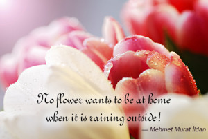 Love Flower Quotes