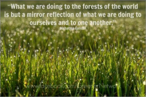 Quotes on environment, wise, best, sayings, forest