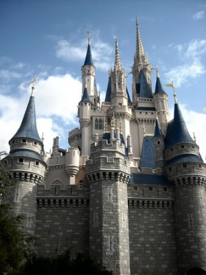Best Disneys Animal Kingdom Attractions Ride Guide