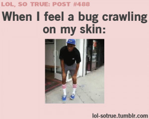 Funny Gifs Story Quotev