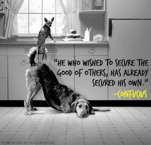 Don't Be Selfish: Pass On The Team Spirit [QUOTE CARDS]